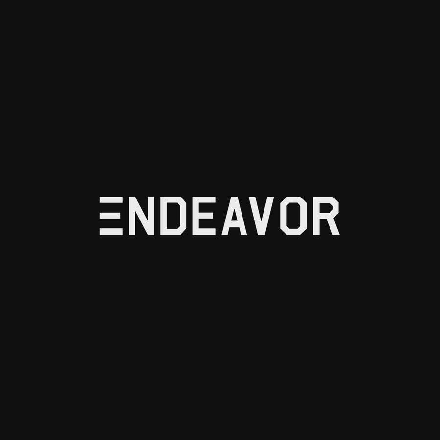 Endeavor Archetype QSL Snowboard